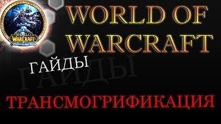 WoW 335 гайд  ТРАНСМОГРИФИКАЦИЯ [upl. by Akiaki]