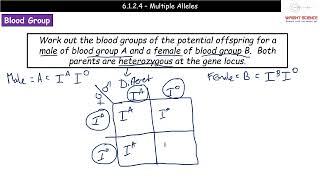 A Level Biology  6124  Multiple Alleles [upl. by Loginov]