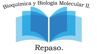 Repaso Bioquímica y Biología Molecular II [upl. by Crandall]