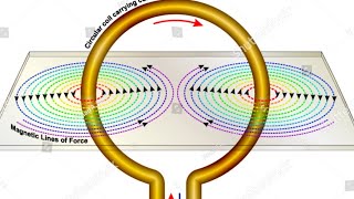 magnetic lines of circular loop diy funscienceforkids scienceeducation punjabschooleducation [upl. by Ahtabbat]