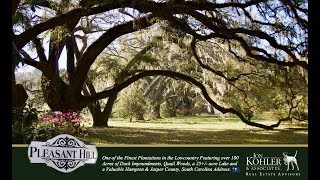 Pleasant Hill Plantation Sale  Hampton South Carolina [upl. by Haraj]