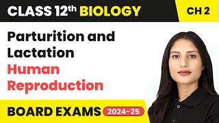 Parturition and Lactation  Human Reproduction  Class 12 Biology Chapter 2  CBSE 202425 [upl. by Xuaeb]