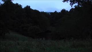 Night Time in the mountains  10 hours of HD Frogs Crickets Cicadas and other insects [upl. by Eceined]