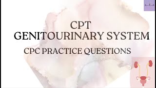 CPT GENITOURINARY SYSTEMCPC PRACTICE QUESTIONSMEDICAL CODING AND BILLING [upl. by Aibsel418]