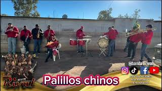 Palillos chinos  Banda Rival tamborazo [upl. by Leon437]