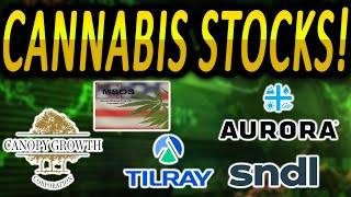 Time To Buy Weed Stocks Cannabis Stock Short Squeeze Cgc Tlry Sndl Acb Msos [upl. by Hteazile]