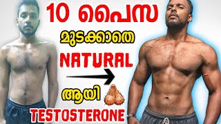 HOW TO BOOST TESTOSTERONE FASTER NATURALLY MALAYALAM  MaLLuUnToLD [upl. by Niuq]