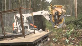 Firewood Processor SRL 170v1  Skid Steer Loader JCOSTA MAQUINAS [upl. by Nuhsyar]