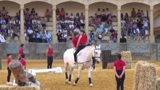 Exhibición Alumnos Real Maestranza Caballería Ronda Romántica 2016 [upl. by Libbi]