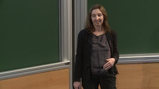 Sinéad RYAN  QCD Numerical Integration of a Quantum Field Theory [upl. by Schoenberg119]