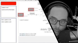 Reacting to Terrance Wickmans quotAdding Image Occlusion Notes in Supermemoquot [upl. by Eiramnwad]