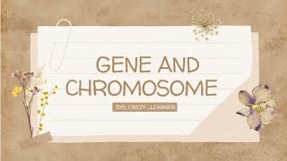 gene and chromosome explained deference between gene and chromosome genetics biology biotech pg [upl. by Sutelc671]