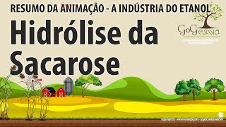 Hidrólise da Sacarose  Como a sacarose é dividida em glicose e frutose [upl. by Josi112]