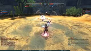 C9 PVP Tournament 2013 Final [upl. by Amahs]