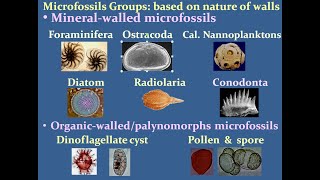 Applications of Microfossils Detailed Account Prof PK Kathal Micropaleontology [upl. by Ytinav]