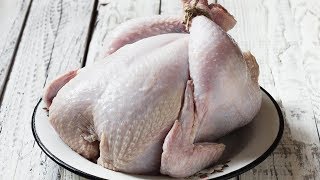 How To Quickly Defrost a Turkey [upl. by Alyacim]