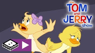 The Tom and Jerry Show  Duckling Love Story  Boomerang UK [upl. by Gifferd]