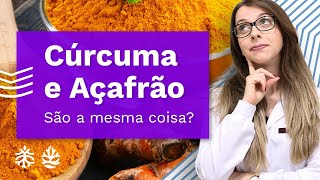 Cúrcuma ou Açafrão Descubra Qual a Diferença Entre Cúrcuma e Açafrão Nutri Responde [upl. by Alleusnoc]