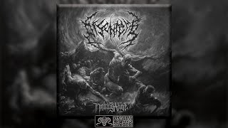 Disentomb  Drear Prophecies Official Track Premiere [upl. by Kristofer]