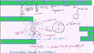 embryo sac development and double fertilization in plants for csir net life science development bio [upl. by Airamalegna]