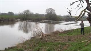 The Severn Bore  March 11th 2024 [upl. by Swanhildas98]