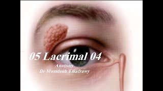 05 Lacrimal part4 الكفراوي أناتومى Elkafrawy Anatomy Basics [upl. by Netsoj177]