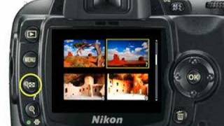 Nikon D60  Basic Playback Functions [upl. by Bozovich]