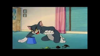 Tom and Jerry Episode 35 The Truce Hurts Part 3 [upl. by Savell]