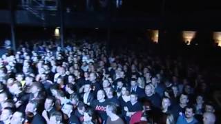 The Stranglers live in concert [upl. by Rats]