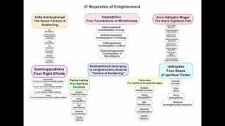 The 37 Requisites of Enlightenment [upl. by Gninnahc619]