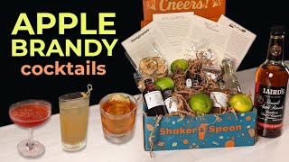 Applejack Cocktails You Can Make With Lairds Apple Brandy [upl. by Llireva188]