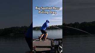 Lake Tuscaloosa Tank fishing bassfishing fish bass bassfishinglife spottedbass [upl. by Razatlab]