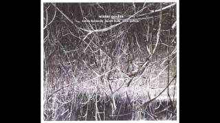 Harold Budd Robin Guthrie amp Eraldo Bernocchi  Winter Garden 2011 Full Album HQ [upl. by Einnad]