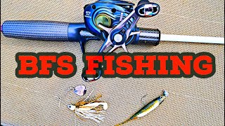 BFS FISHING 5 Reasons you should TRY IT [upl. by Aizatsana]