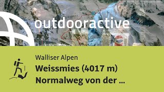 Hochtour in den Walliser Alpen Weissmies 4017 m Normalweg von der Weissmies Hütte über Hohsaas [upl. by Elbon]