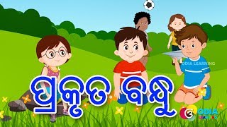 Odia Story  Prakruta Bandhu  ପ୍ରକୃତ ବନ୍ଧୁ  Odia Moral Story  kuhuka kahani [upl. by Sigismundo]