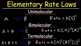 Order of Reaction  Chemical Kinetics  Class 12 Chemistry Chapter 3  CBSE 202425 [upl. by Arakawa]