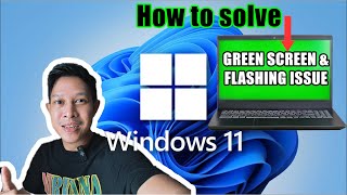 FIX  Greenscreen amp Flashing Screen When Playing Video In Windows 11 [upl. by Frederick]