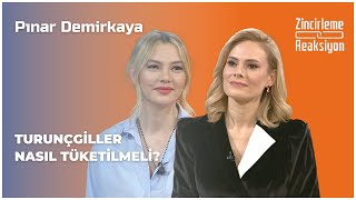 Turunçgiller Nasıl Tüketilmeli  Zincirleme Reaksiyon  Pınar Demirkaya  BBO Yapım [upl. by Ashok347]