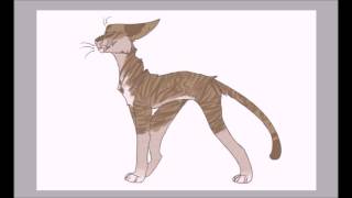 Dont blame yourself  Crookedstar  Warrior cats speedpaint [upl. by Junius178]