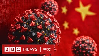 新冠疫情：病毒來自美軍基地？分析中國的虛假信息策略－ BBC News 中文 [upl. by Ilenna60]