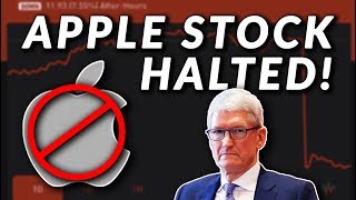 Is APPLE ACTUALLY DOOMED What a Stock Halt Means amp What the iPhone XS amp XR have to do with it [upl. by Ninetta]