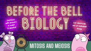 Mitosis and Meiosis Before the Bell Biology [upl. by Stearns]