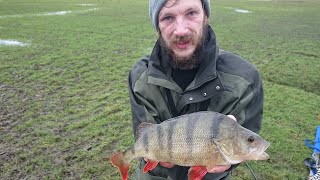 Big Fish On Light Tackle BFS [upl. by Coleman]