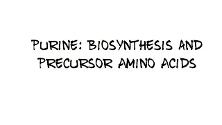 Purine Biosynthesis and Precursor amino acids [upl. by Scopp]