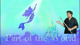 Part of the World The Little Mermaid Jodi Benson Disney Flute フルート 長笛 by So Ka Hing Mario 蘇家慶 [upl. by Lore]