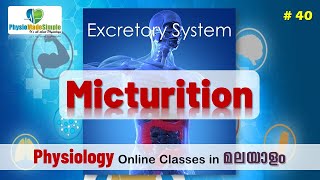 Ep40  Micturition humanphysiology malayalam excretorysystem [upl. by Eleets369]