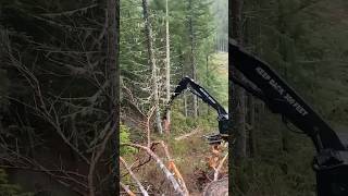 Logging in BC Canada [upl. by Nallad]