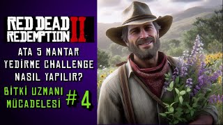 RDR2 Bitki Uzmanı Mücadelesi Ata 5 Mantar Yedirme Herbalist Challenge 4 rdr2 oyun [upl. by Lowrie]