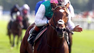 Frankel documentary The horse of the century [upl. by Arad10]